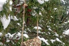 IMG-20240119-WA0020