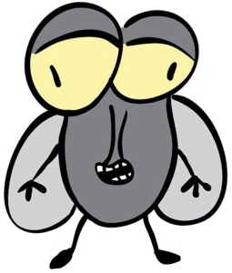 Poznaj Muche Odpaduchę