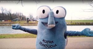 Mucha Odpaducha spaceruje wzdłuż bulwarów nad Odrą
