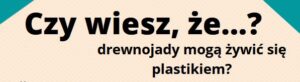 Obrazek wyróżniający