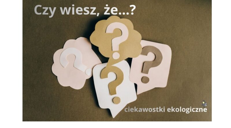 cztery znaki zapytania w oknach dialogowych wraz z napisem "Czy wiesz, że...? ciekawostki ekologiczne"