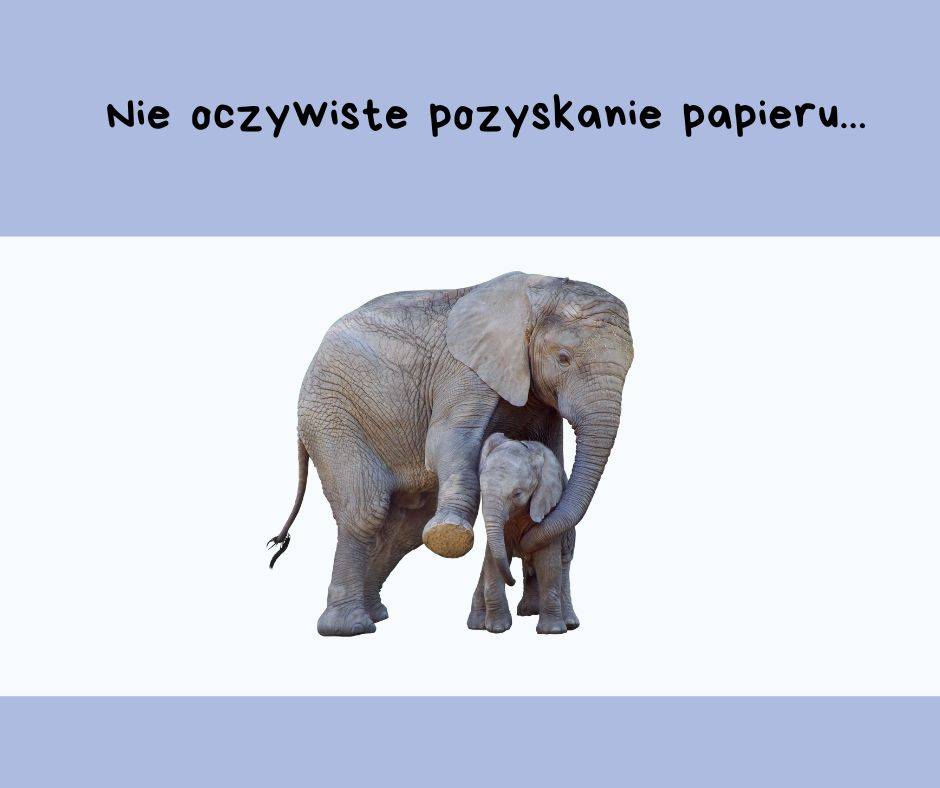 Słoń ze słoniątkiem