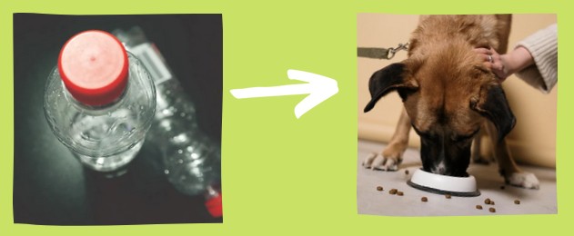 dwie butelki PET z zakrętkami, strzałka skierowana w prawo, pies na smyczy jedzący suchą karmę z miski, kobieca ręka na karku psa